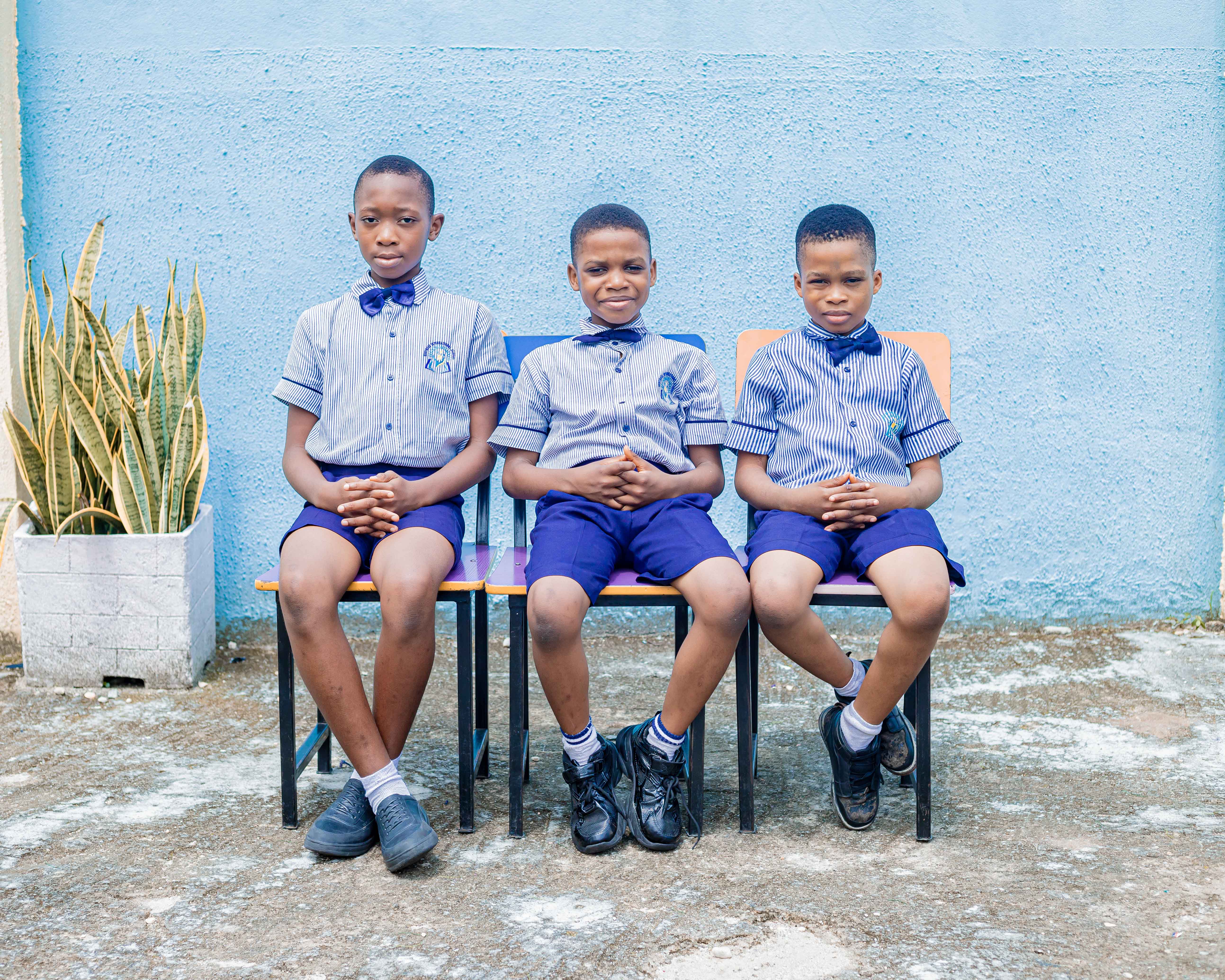 Ivory: Grade 4